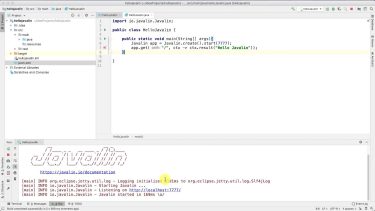 Example of Javalin interface